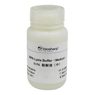 白鲨 Biosharp BL651A RIPA裂解液(中)BL652A RIPA裂解液(弱)