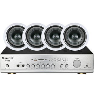 Hivi/惠威 VX6-C吸顶喇叭背景音乐同轴音箱会议天花吊顶音响套装5