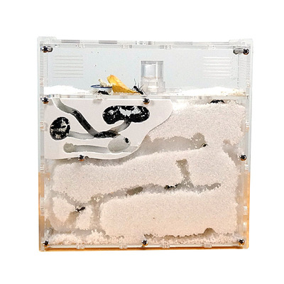 新款弓背蚁亚克力沙堡工坊城堡