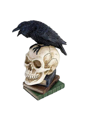 仿真骷髅头骨头拍摄道具