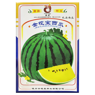 金花宝西瓜种子绿皮黄心西瓜种籽皮薄黄肉礼品西瓜大田瓜果种孑