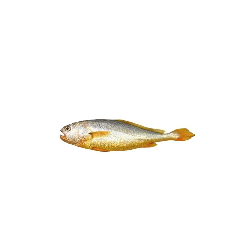 3斤舟山小黄鱼水产黄花鱼