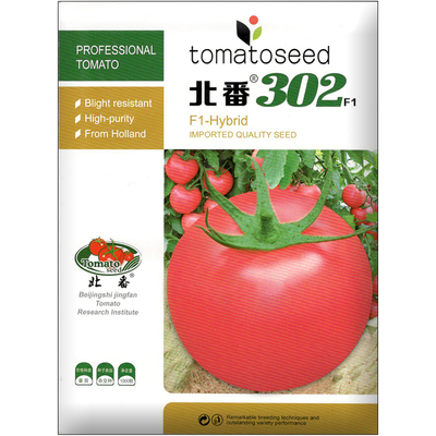 大粉果番茄抗高温进口硬果耐储运越冬耐低温抗TY线虫西红柿蔬菜种