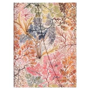 paperblanks佩兰克笔记本本子日记本少女心复古文艺精致手帐创意文具记事记录本阅读摘抄本银莲花威廉基尔本