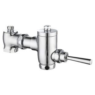 大便冲水阀全铜卧式可伸缩蹲便厕所脚踏延时阀手按冲水器手动自闭