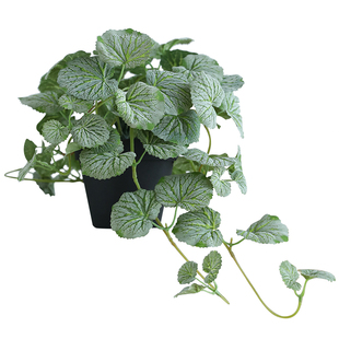泰环 ins北欧风仿真藤蔓植物假盆栽造景客厅绿植摆件橱窗店面装饰