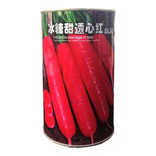 冰糖甜透心红胡萝卜种子四季种籽红水果心甜脆大田高产蔬菜种孑