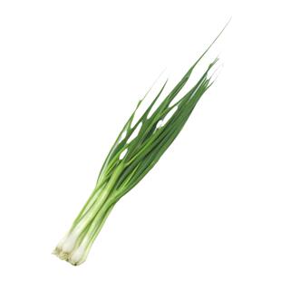 葱种种籽香葱种籽四季葱种小葱葱头小葱种籽大葱种籽蔬菜种子菜籽