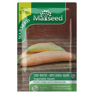 【掌柜推荐】美国传家宝Georgia Candy 北乔治亚糖果南瓜种子籽