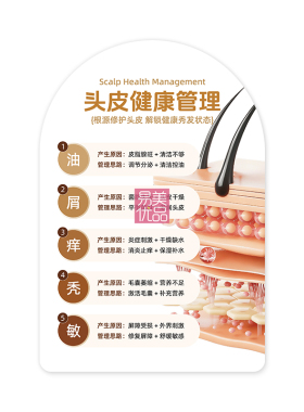 毛囊健康科普系列亚克力教具养发馆白根演变面诊教学可视化展示牌