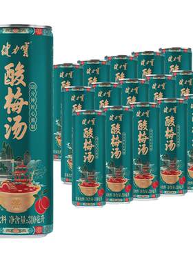 健力宝酸梅汤饮料310ml*15罐