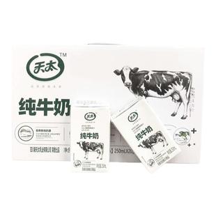 天太纯牛奶 250ml*24盒 送礼早餐奶成人儿童整箱批发
