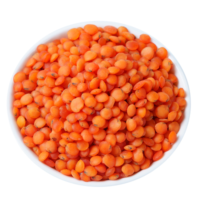 红扁豆土耳其进口宝宝豆新鲜红小扁豆番茄豆兵豆马粟豆五谷杂粮