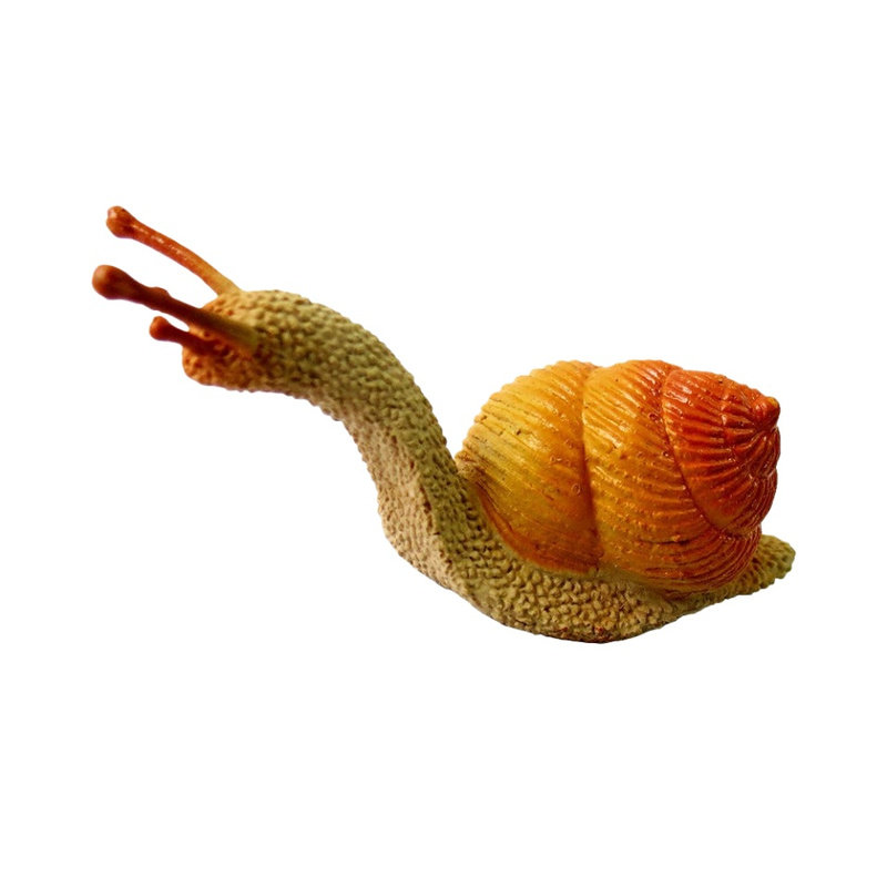 仿真蜗牛动物模型儿童认知玩具