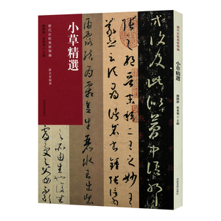 小草精选 历代法帖风格类编 孙过庭书谱王羲之十七帖怀素千字文贺知章孝经历代名家草书毛笔书法字帖技法临摹鉴赏范本书籍河南美术