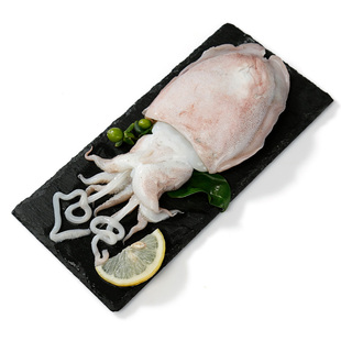 舟山新鲜大墨鱼乌贼 东海海鲜水产鲜活冷冻大目鱼头足类2-3头/斤