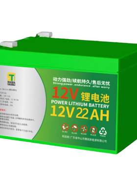 水泵12V24V专用锂电池农用小黑泵农药机园林工具充电式电动割草机