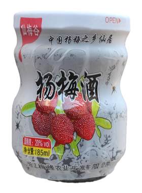 杨梅酒仙居杨梅酒仙梅谷杨梅酒24瓶低度果酒杨梅酒冰饮仙居土特产