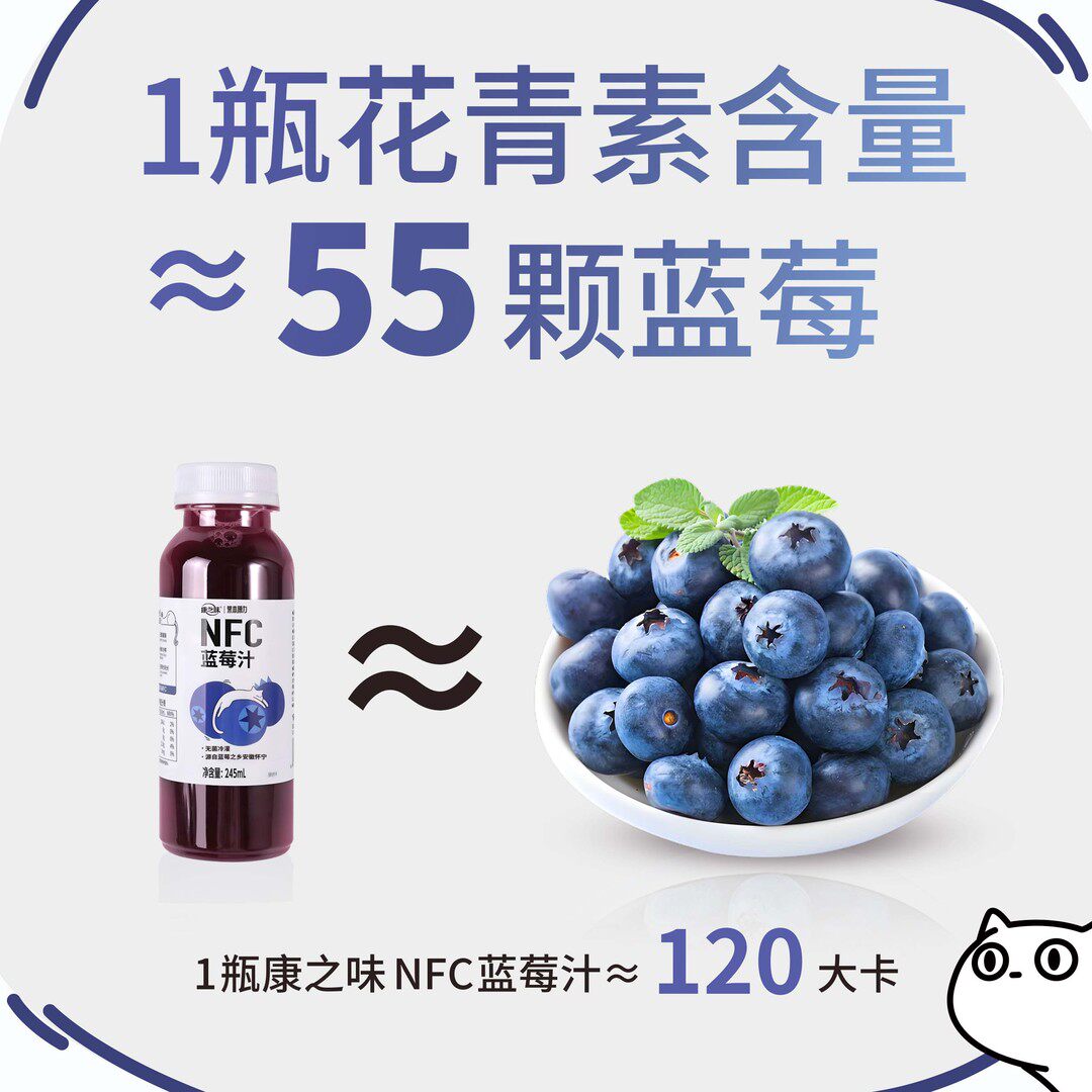 康之味NFC蓝莓汁鲜榨非浓缩100%纯果汁0添加饮品ZB1