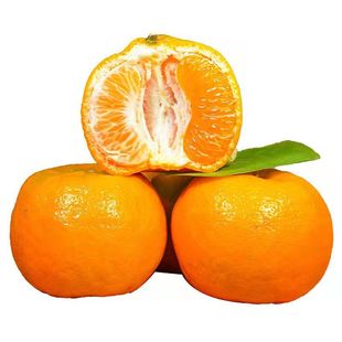 湖北富硒恩施巴东当季现摘碰柑芦柑孕妇水果九分甜酸甜可口多汁