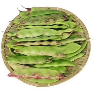 东北豆角新鲜油豆角一点红开锅烂面豆角宽扁油豆角现摘精选装包邮