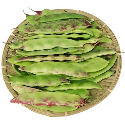 东北豆角新鲜油豆角一点红开锅烂面豆角宽扁油豆角现摘精选装包邮