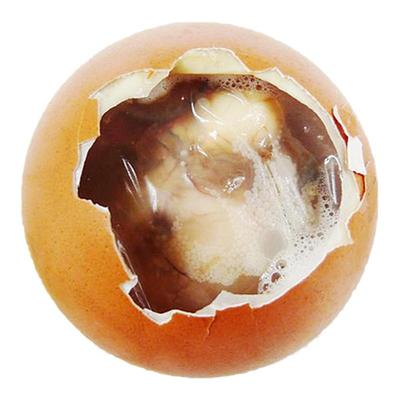 六合12天超嫩鲜美半鸡南京活珠子