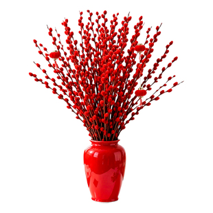 特级银柳鲜枝真花室内客厅招财鲜切花卉年宵花过节日装饰摆件绿植