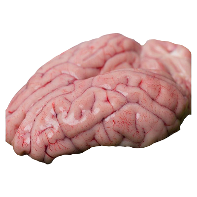猪脑花新鲜冷冻猪小脑24副生鲜大猪脑袋商用烧烤火锅炖汤食材包邮