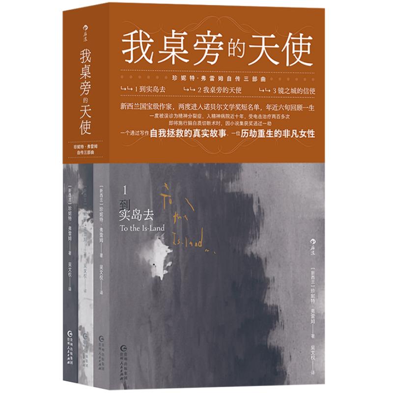 新书速发 我桌旁的天使 珍妮特弗雷姆自传三部曲 电影天使与我同桌原著小说 精神分裂症自我拯救 女性成长传记书籍 后浪正版现货