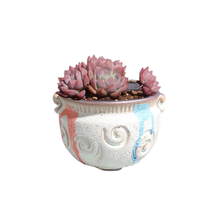 多肉花盆陶瓷粗陶创意简约绿多肉创意复古小老庄植物迷你多肉盆栽