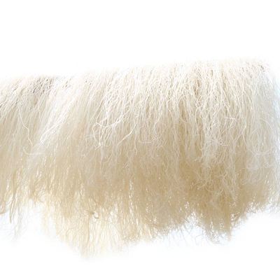 温岭散装面条台州米面汤面不糊