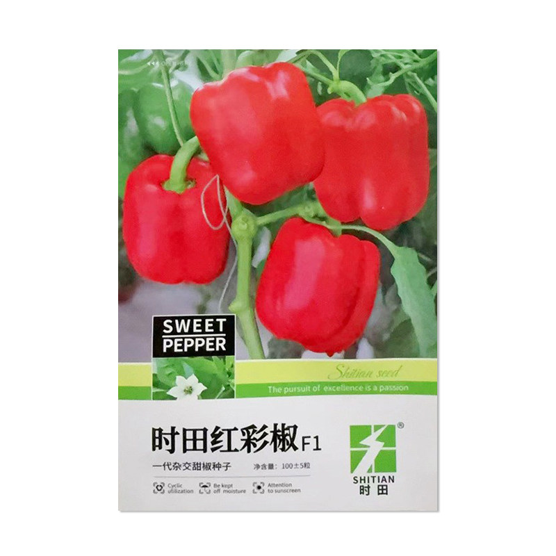 时田红彩椒辣椒种子甜椒