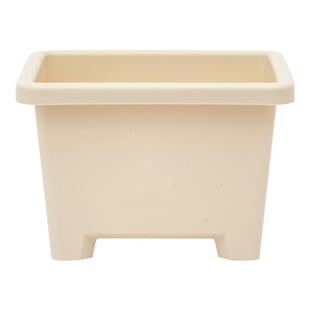 爱丽思花盆种球朱顶红圆形盆栽植物爱丽丝球根盆阳台塑料树脂新料