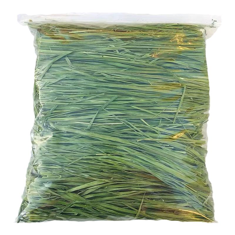 甘肃岷县提摩西草烘干提草兔子粮兔兔干草