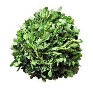 食用苜蓿菜 紫花苜蓿种子种籽孑菜籽种 猪牛羊兔饲料多年生牧草