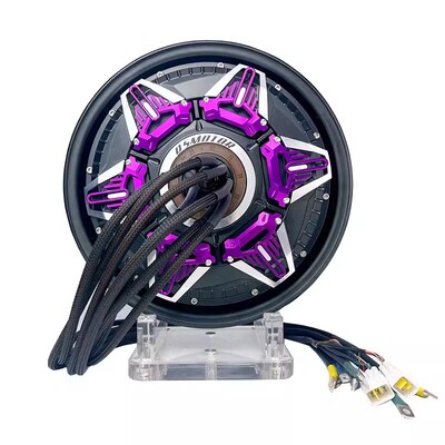 全顺12寸五代/星际水冷定制电机