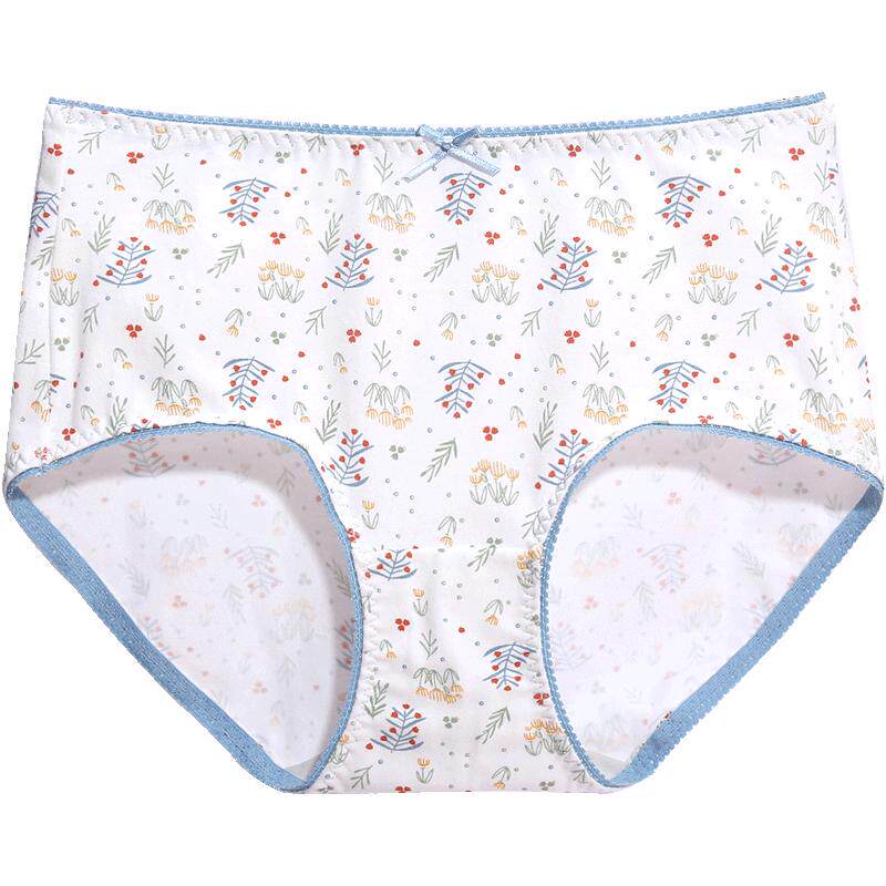 蝶安芬内裤女纯棉抗菌中高腰女生短裤全棉裆提臀薄款透气2025新款