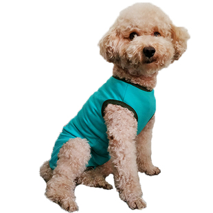 春秋泰迪比熊母狗狗衣服包肚子保暖背心马甲断奶绝育术服公狗防尿