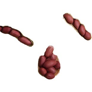 小孟东北黑木耳干货小碗2袋500g秋耳包邮纯散装批