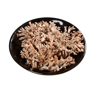 云南香格里拉新鲜龙爪菇猫爪菇老鼠爪鸡爪菇珊瑚菇特色食材旗舰店