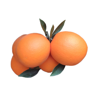 正宗赣南脐橙10斤橙子寻乌产地直发新鲜现摘时令水果皮薄多汁甜橙