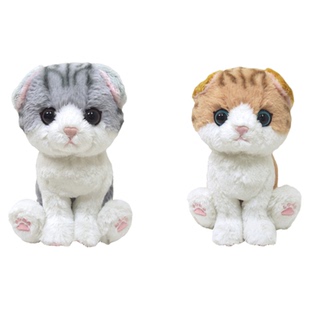 日本正版 kitten 灰色黄色折耳猫咪不爽猫毛绒公仔sunlemon玩偶