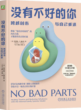 官网正版 没有不好的你：跨越创伤，与自己重逢 理查德 施瓦茨 IFS疗法 自我治愈 内在家庭系统 家庭治疗 心理咨询 冥想 冲突 防御