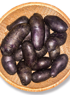 新鲜净重5黑金刚紫色包邮大土豆