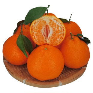 正宗四川春见耙耙柑现摘发货10斤装大果整箱粑粑丑桔橘子顺丰包邮