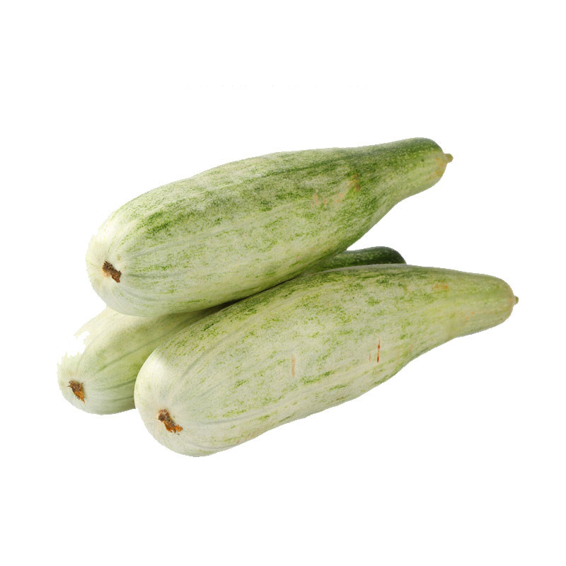 刘旺蔬菜羊角蜜盆栽甜瓜