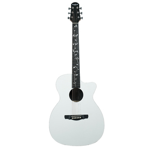 Natasha娜塔莎生命之树HPL40寸全单民谣加振吉他初学者入门男女