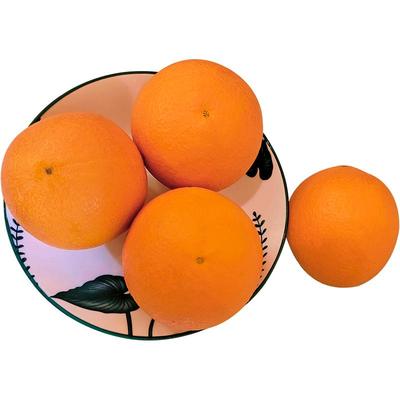 柑橘孕妇新鲜水果现摘纽荷尔