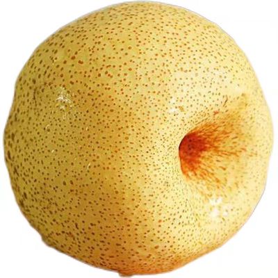 宁陵酥梨10斤礼盒百年砀山梨